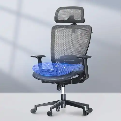 FLEXISPOT Ergonomic Mesh Chair